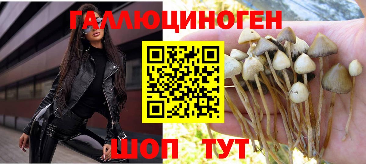 Галлюциногенные грибы ЛСД Сафоново